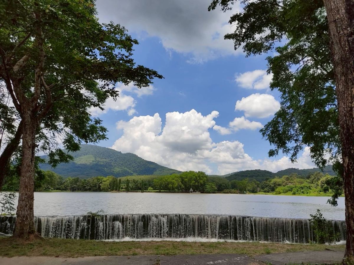 องค์การบริหารส่วนตำบลสำนักทอง