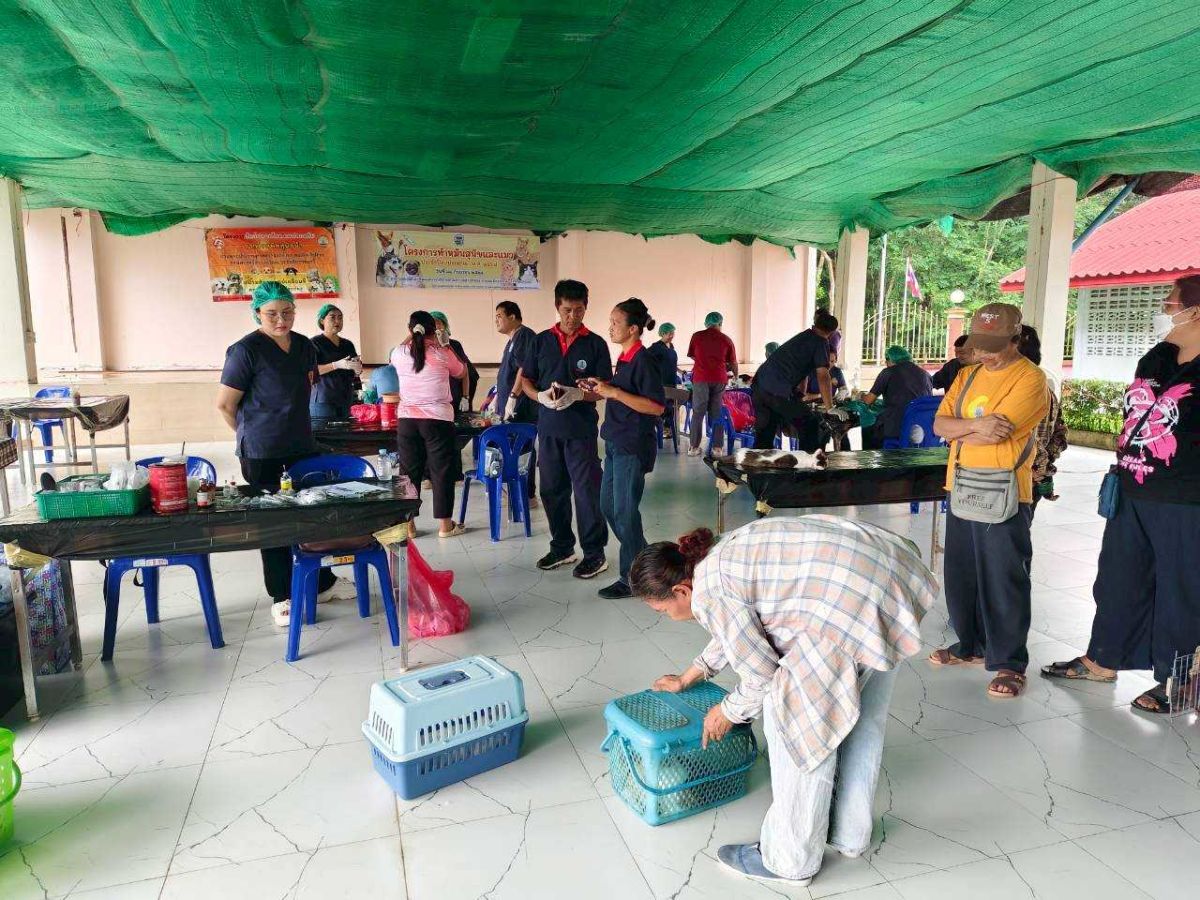 องค์การบริหารส่วนตำบลสำนักทอง